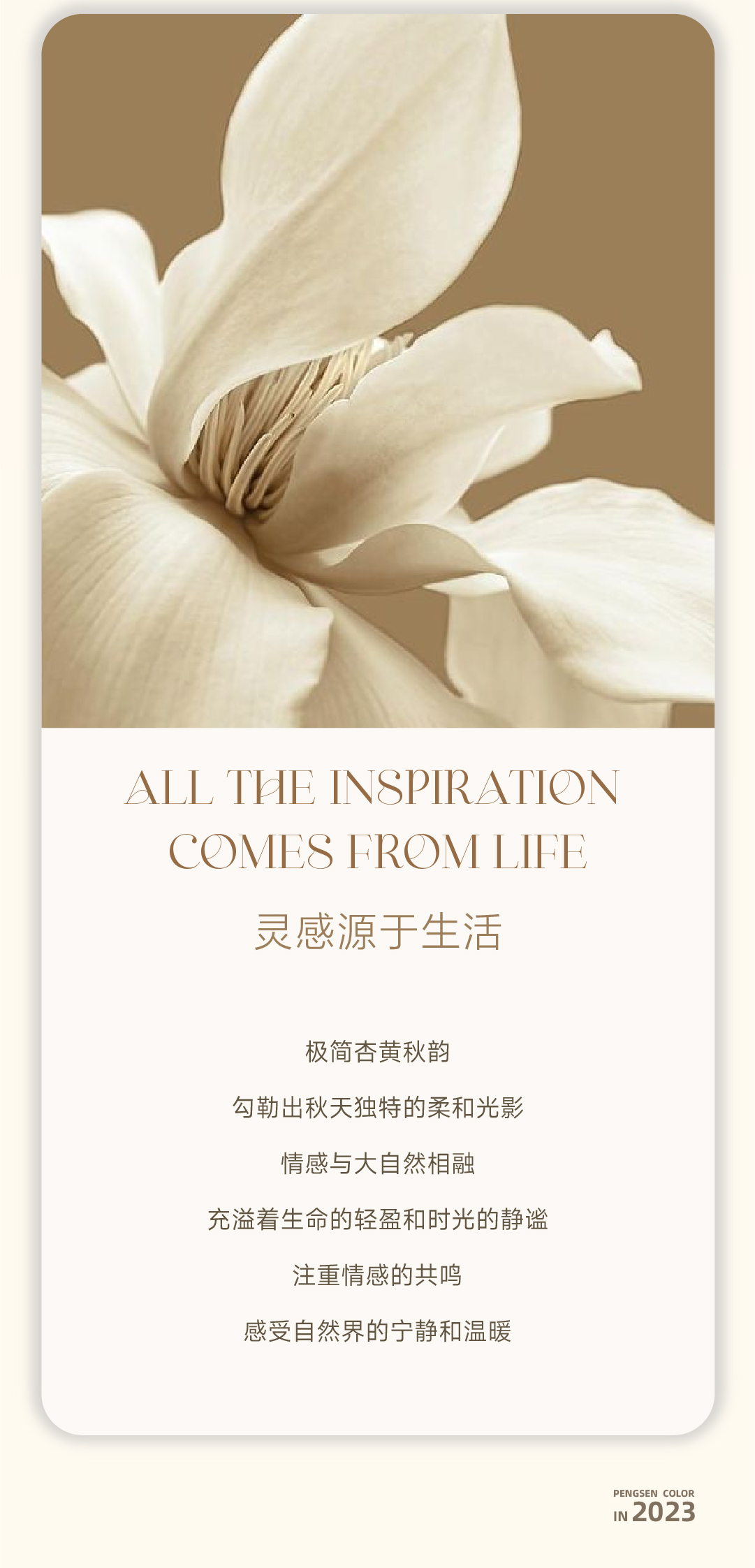 第三期_画板-1-恢复的_06.png